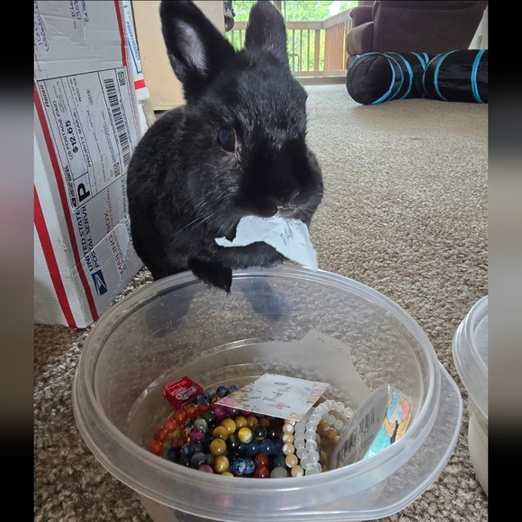 6mm White Opal Bracelet - Picture 10 of 12